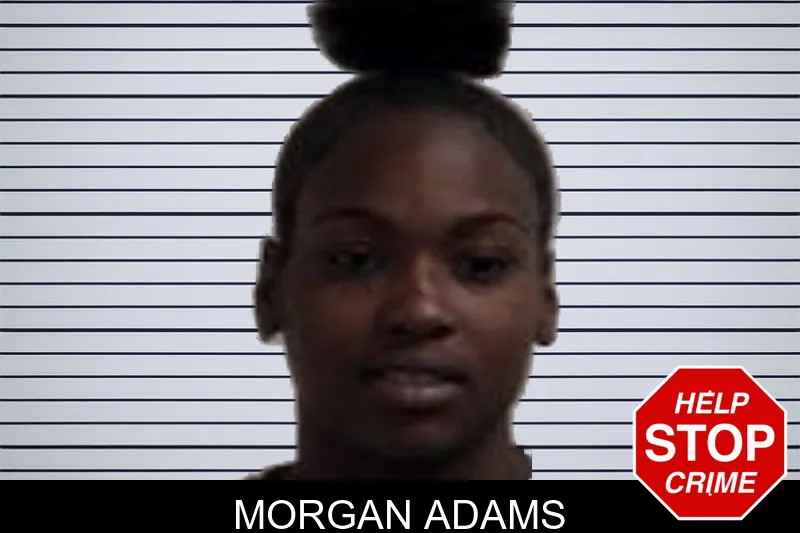 Morgan Adams Mugshots