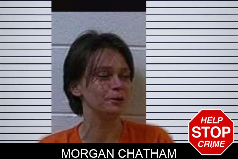 Morgan Chatham Mugshots
