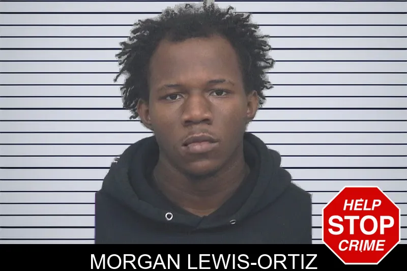 Morgan Lewis-Ortiz mugshot – Gwinnett County , Georgia Morgan Lewis-Ortiz mugshot