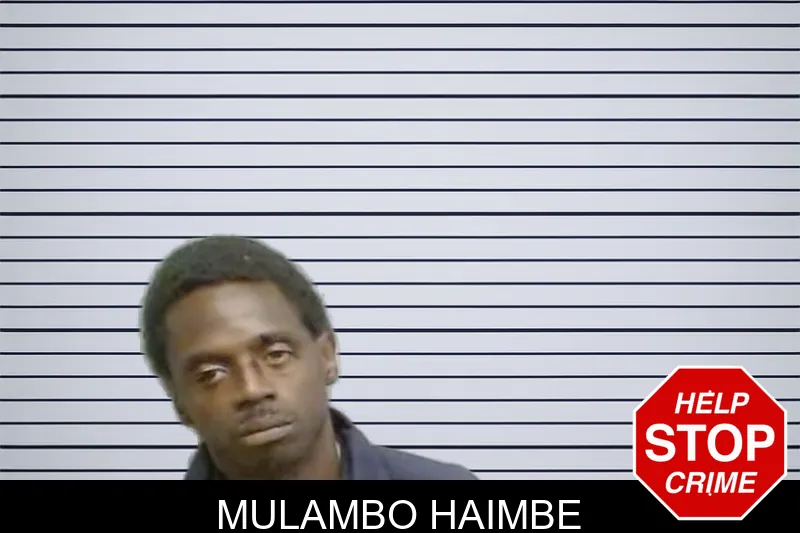 Mulambo Haimbe mugshot