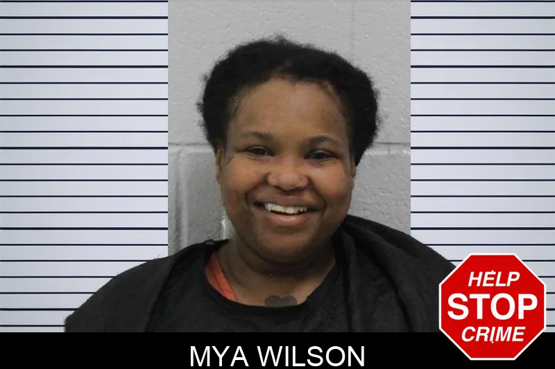 Mya Wilson Mugshots