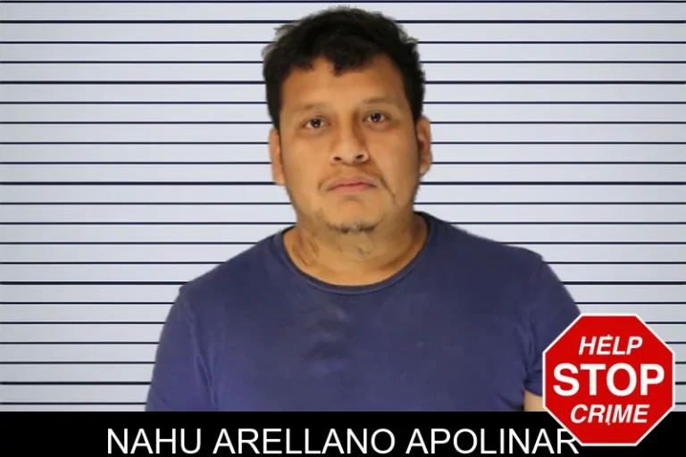 Nahu Arellano Apolinar mugshot – Hall County , Georgia Nahu Arellano Apolinar