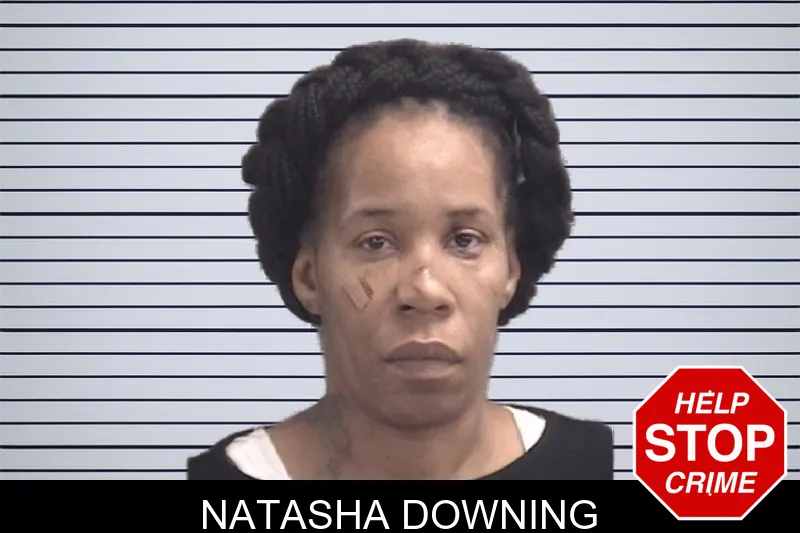 Natasha Downing Mugshots
