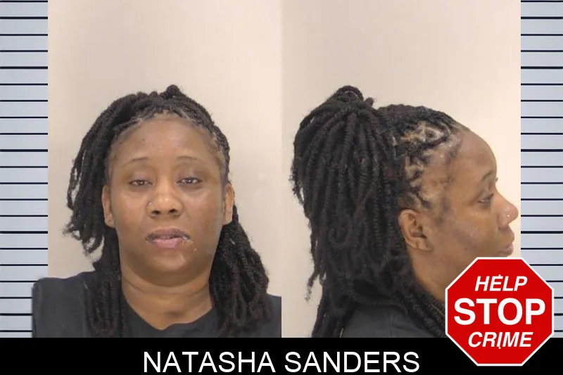Natasha Sanders Mugshots
