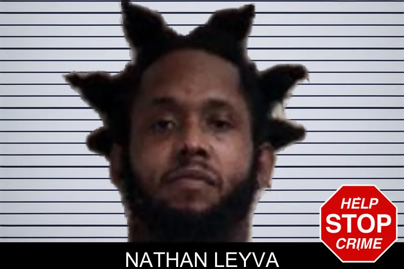 Nathan Leyva mugshot