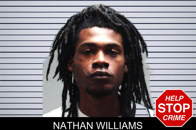 Nathan Williams mugshot