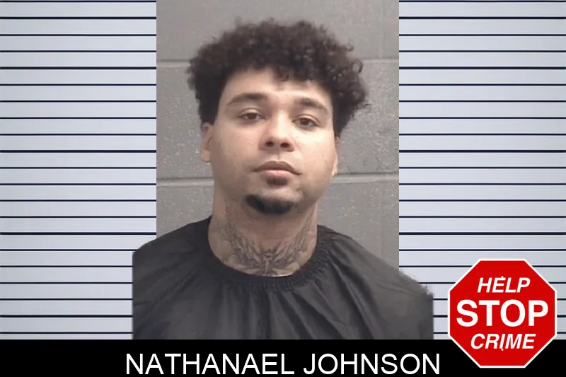 Nathanael Johnson mugshot