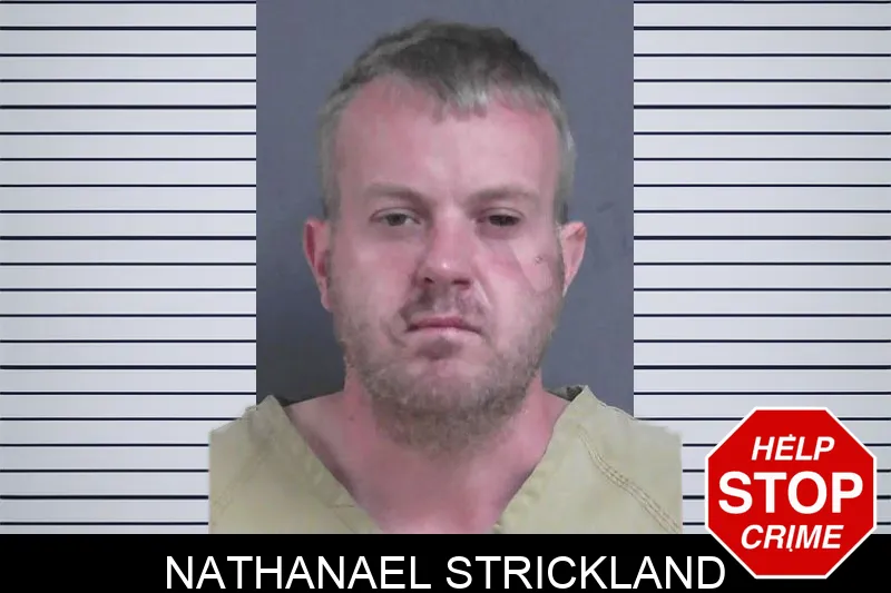 Nathanael Strickland mugshot – Gordon County , Georgia Nathanael Strickland mugshot