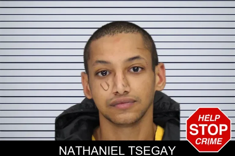 Nathaniel Tsegay mugshot – Cobb County , Georgia Nathaniel Tsegay