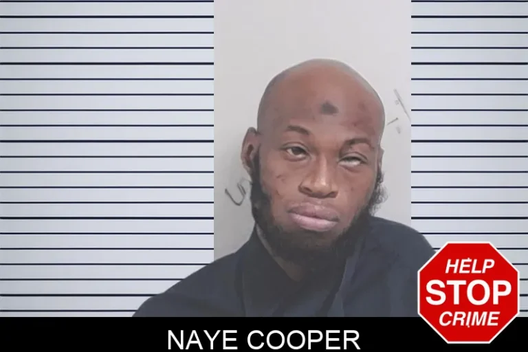 Naye Cooper mugshot – Lowndes County , Georgia Naye Cooper