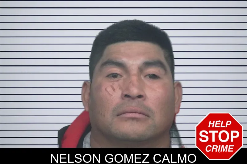 Nelson Gomez Calmo Mugshots