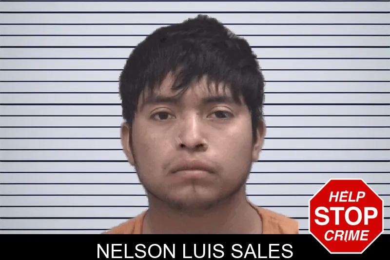 Nelson Luis Sales Mugshots