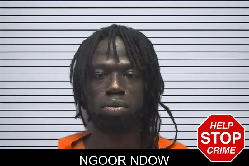 Ngoor Ndow mugshot