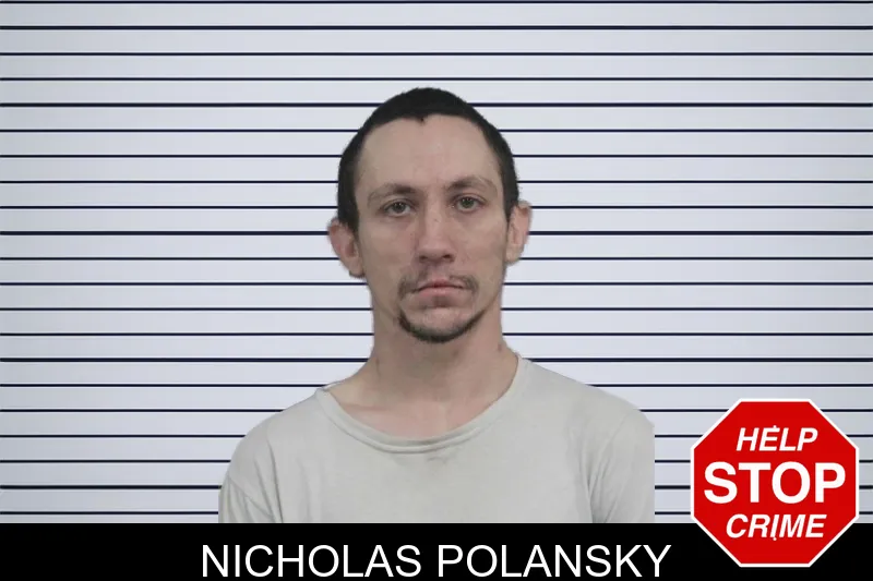 Nicholas Polansky Mugshots