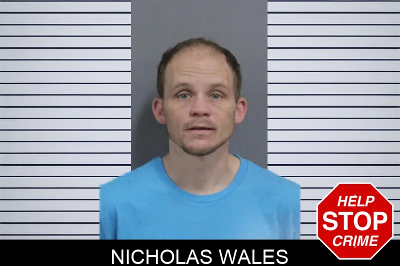 Nicholas Wales mugshot – Catoosa County , Georgia Nicholas Wales mugshot