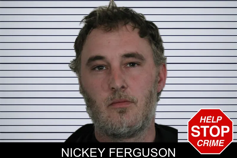 Nickey Ferguson of Floyd County, Georgia Nickey Ferguson Mugshots