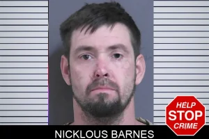 Nicklous Barnes mugshot