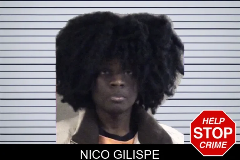 Nico Gilispe mugshot – Whitfield County , Georgia Nico Gilispe