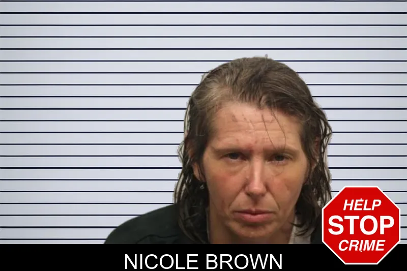 Nicole Brown Mugshots