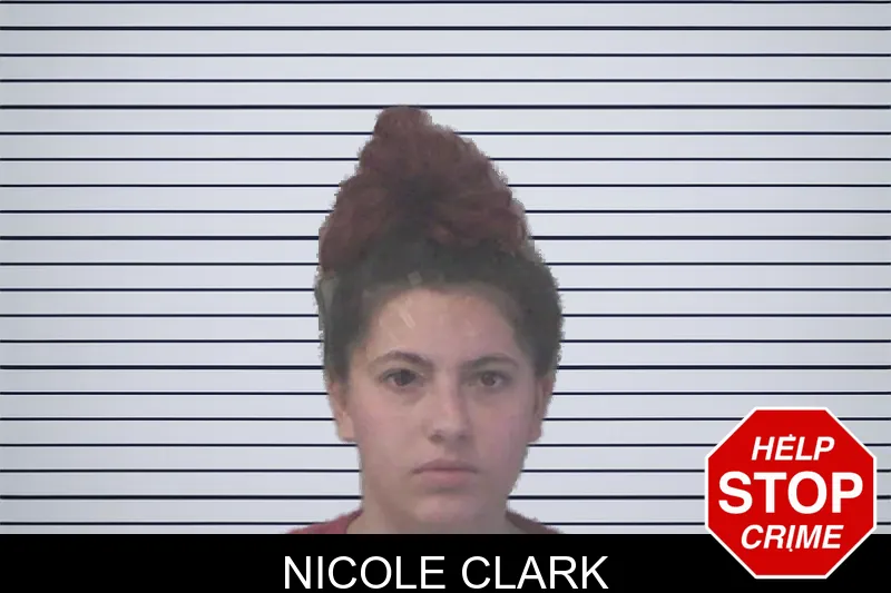 Nicole Clark mugshot