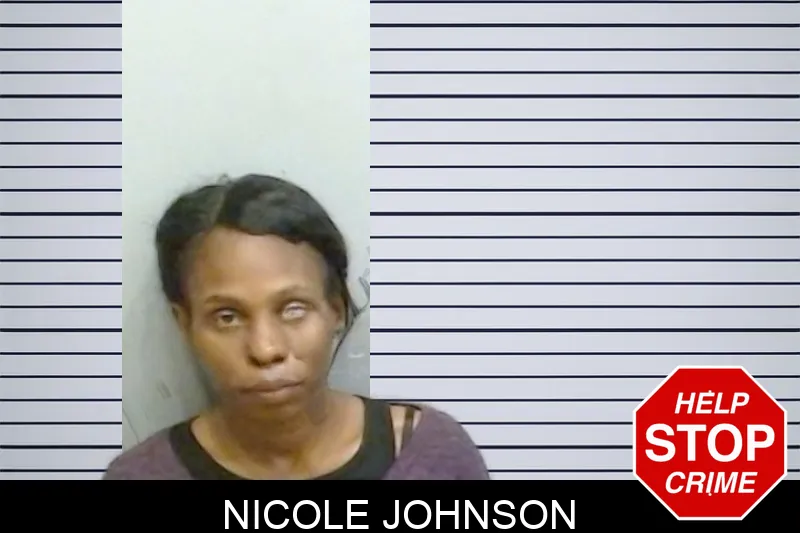 Nicole Johnson Mugshots