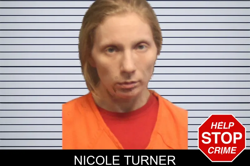 Nicole Turner mugshot