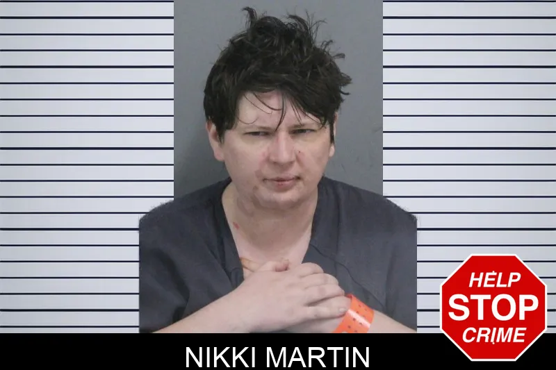 Nikki Martin Mugshots