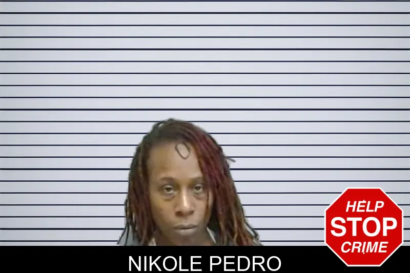 Nikole Pedro Mugshots