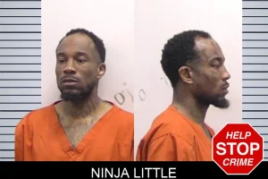 Ninja Little mugshot