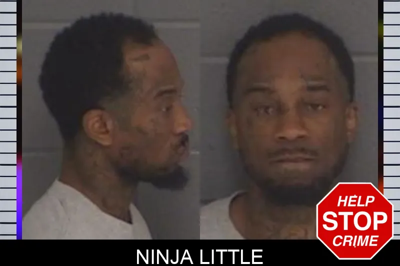 Ninja Little Mugshots