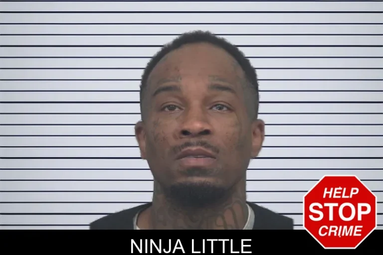 Ninja Little mugshot – Gwinnett County , Georgia Ninja Little