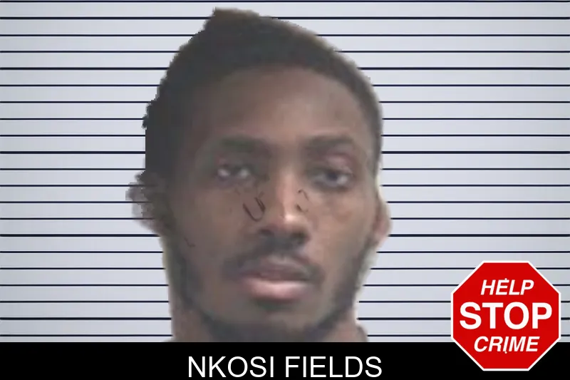 Nkosi Fields Mugshots