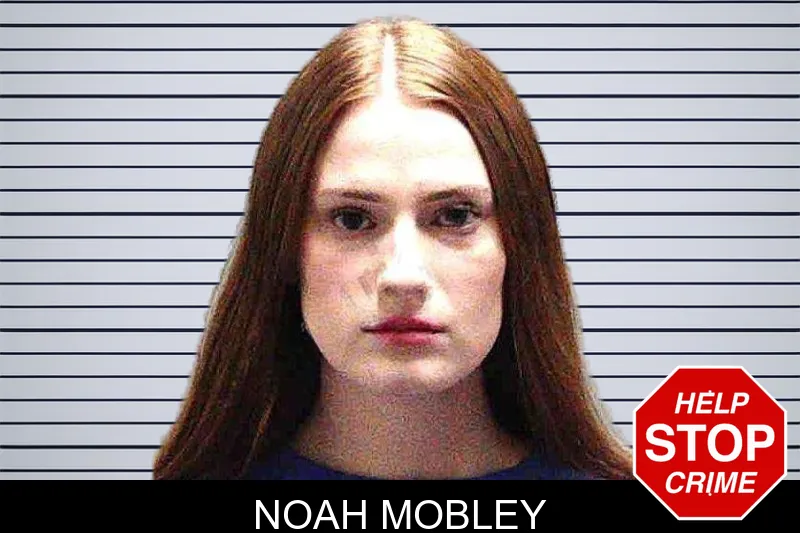Noah Mobley Mugshots
