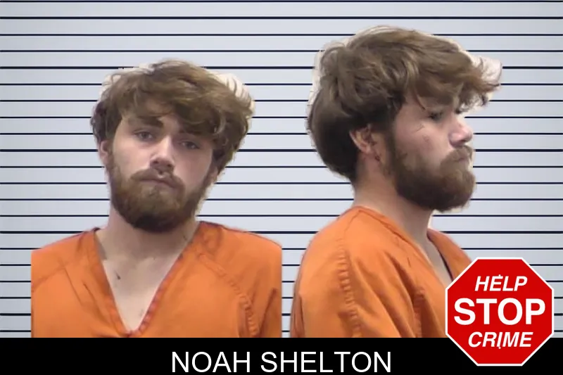 Noah Shelton mugshot