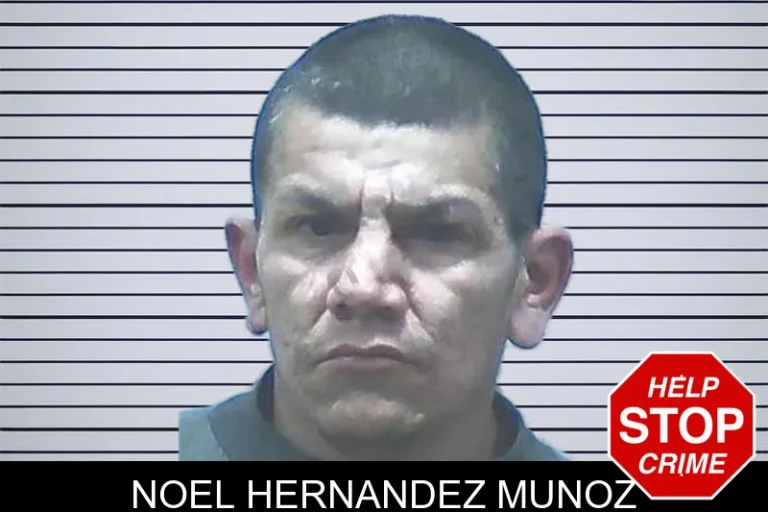 Noel Hernandez Munoz