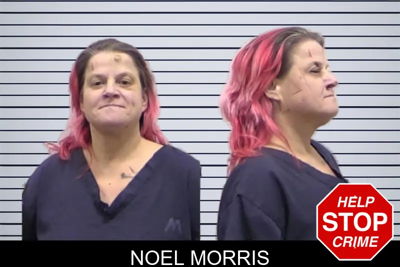 Noel Morris mugshot