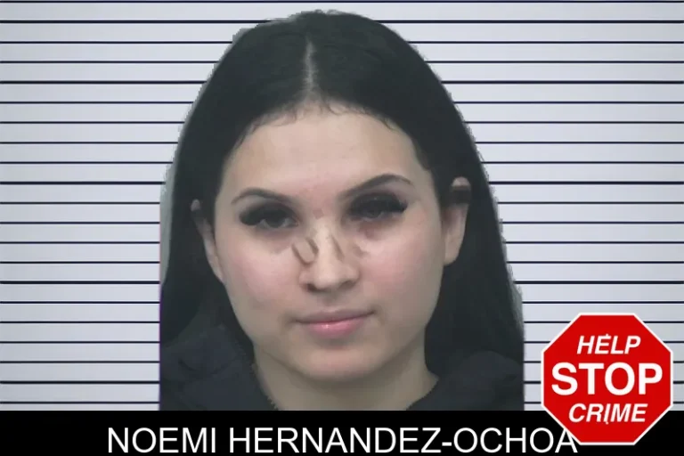 Noemi Hernandez-Ochoa mugshot – Gwinnett County , Georgia Noemi Hernandez-Ochoa