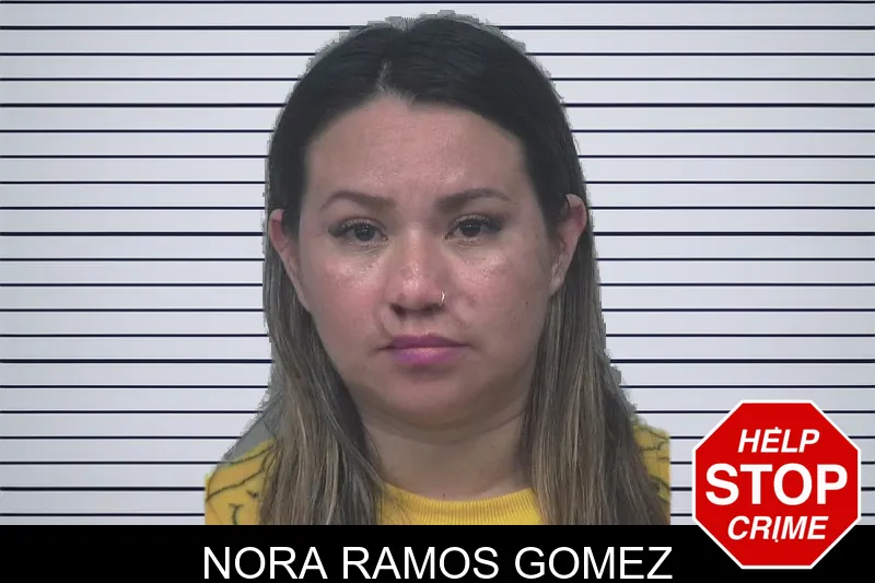 Nora Ramos Gomez mugshot – Gwinnett County , Georgia Nora Ramos Gomez mugshot