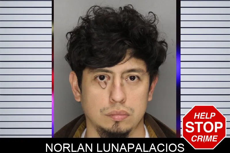Norlan Lunapalacios Mugshots