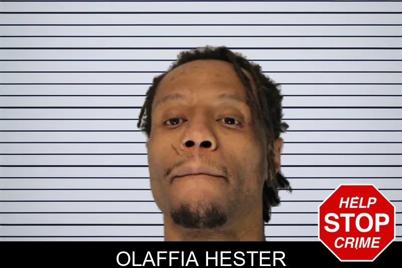 Olaffia Hester mugshot – Hall County , Georgia Olaffia Hester mugshot