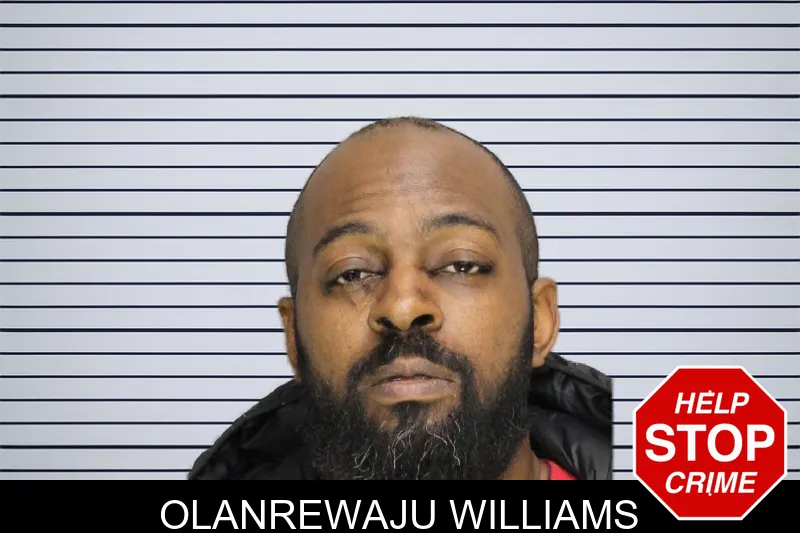 Olanrewaju Williams mugshot