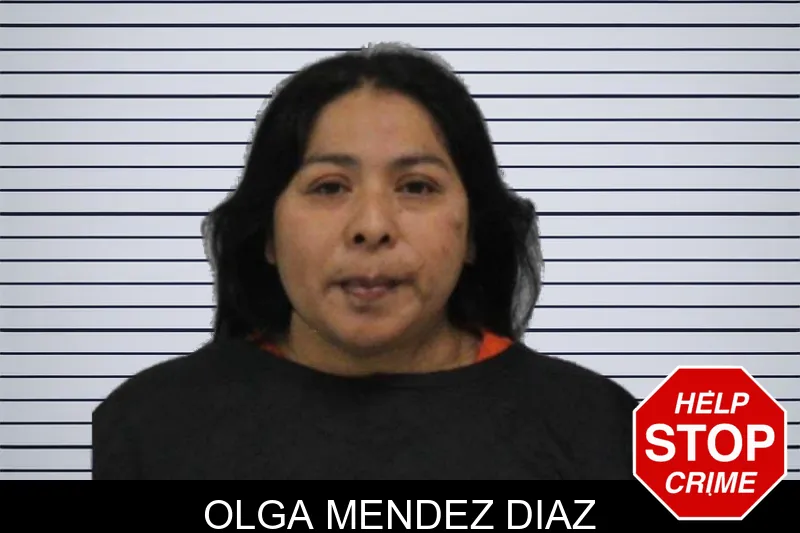Olga Mendez Diaz Mugshots