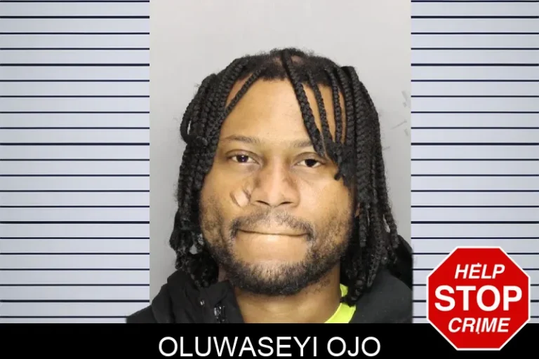 Oluwaseyi Ojo