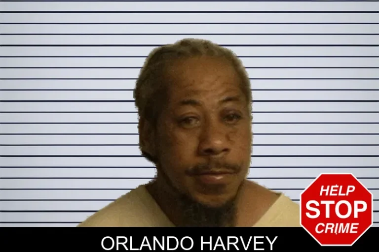 Orlando Harvey
