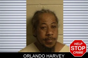 Orlando Harvey mugshot