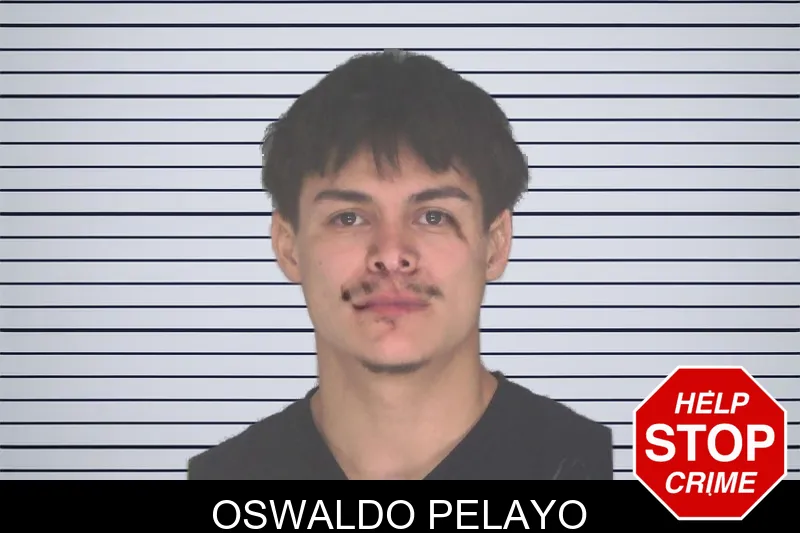 Oswaldo Pelayo mugshot – Douglas County , Georgia Oswaldo Pelayo mugshot