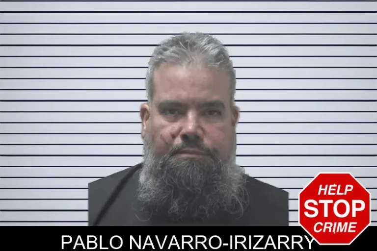 Pablo Navarro-Irizarry