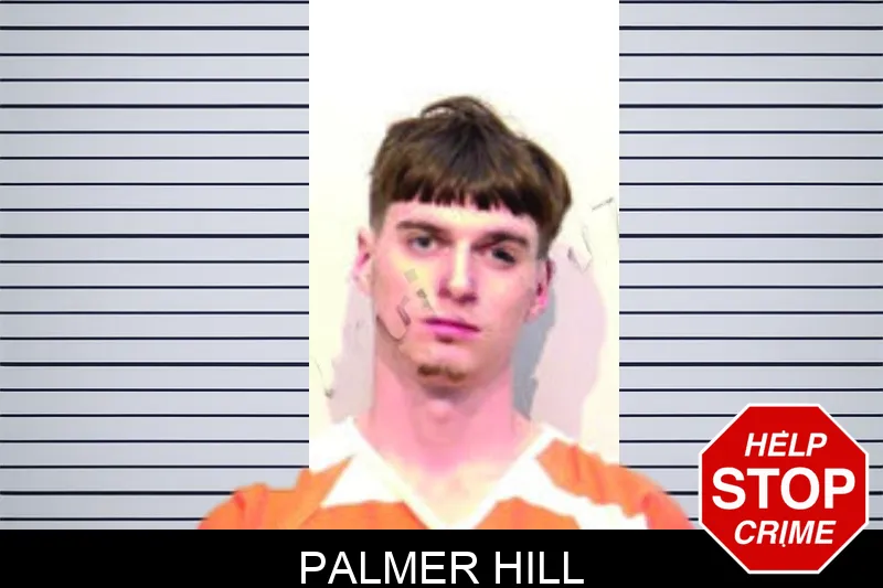 Palmer Hill mugshot