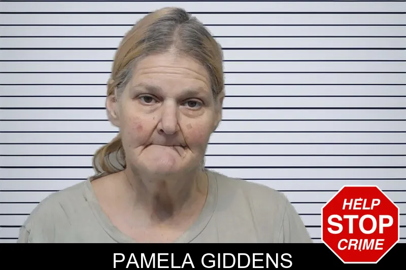 Pamela Giddens Mugshots