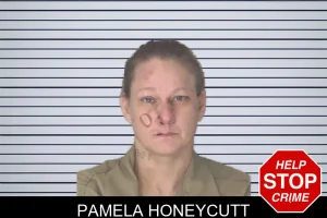 Pamela Honeycutt mugshot